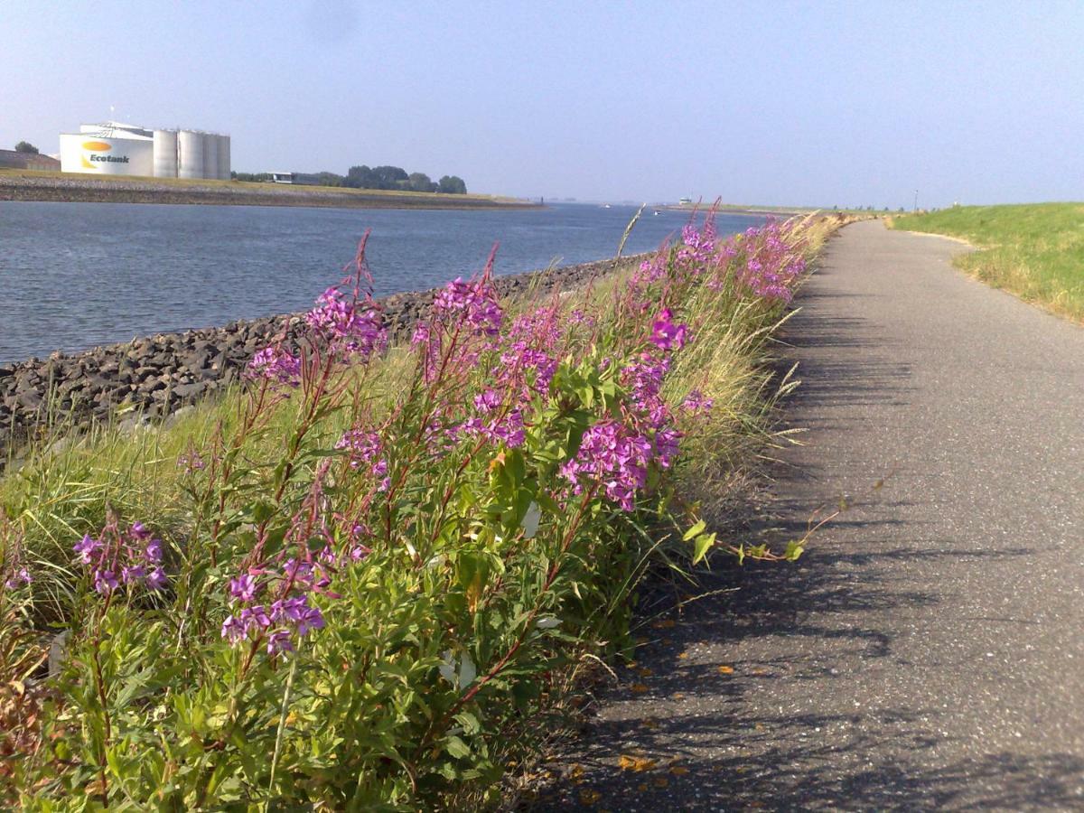 Middensluis Vakantiehuis 벨멜딘게 외부 사진
